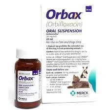 Orbifloxacin for Dogs